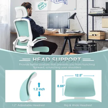 Mimoglad Ergonomic Office Chair w/ Adjustable Lumbar Support and Headrest