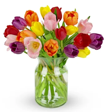 Bouquets 20 Stem Rainbow Tulips with Glass Vase
