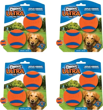 Chuckit! Ultra Ball Dog Toy (Medium, )