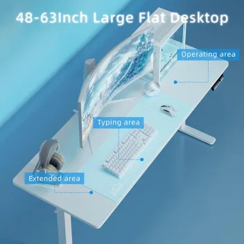 Shintenchi 63" x 24" Electric Height Adjustable Standing Desk