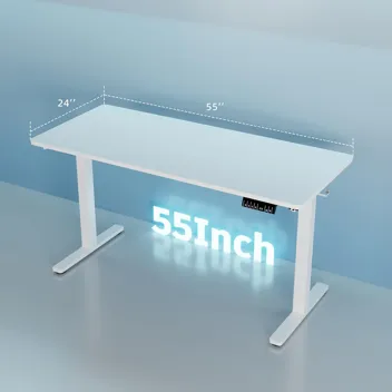 Shintenchi 63" x 24" Electric Height Adjustable Standing Desk