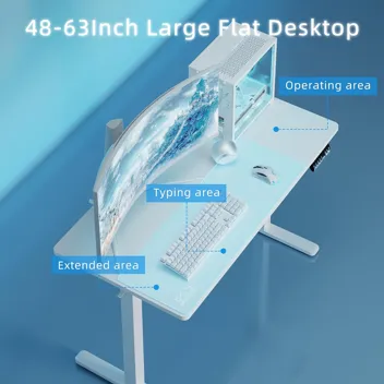 Shintenchi 63" x 24" Electric Height Adjustable Standing Desk