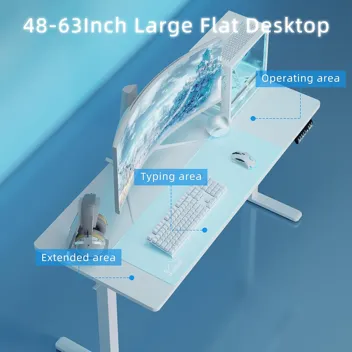 Shintenchi 63" x 24" Electric Height Adjustable Standing Desk