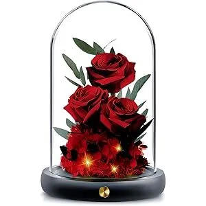 Hzqva Preserved Rose in Glass Dome