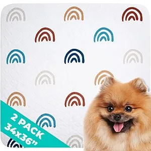 Washable Pee Pads for Dogs (, 34"x36")