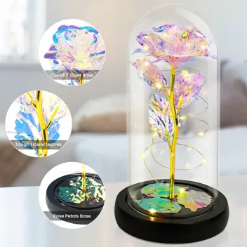 LED Rose Flower with Display Case