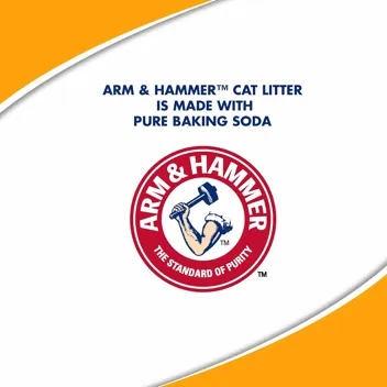 Arm & Hammer Clump & Seal Platinum Clumping Cat Litter