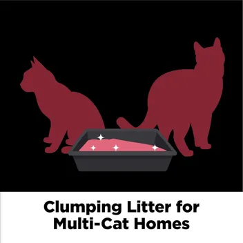 Arm & Hammer Clump & Seal Platinum Clumping Cat Litter