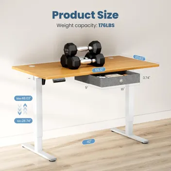 Dumos 48x24" Electric Standing Desk with Keyboard Tray