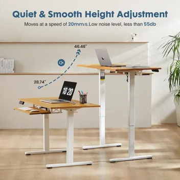 Dumos 48x24" Electric Standing Desk with Keyboard Tray