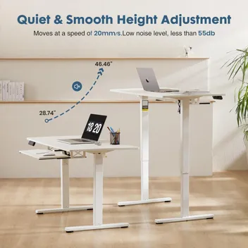 Dumos 48x24" Electric Standing Desk with Keyboard Tray