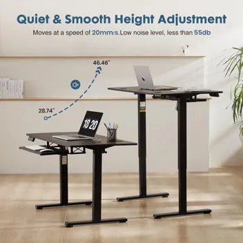 Dumos 48x24" Electric Standing Desk with Keyboard Tray