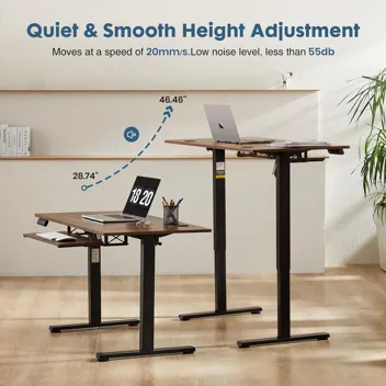 Dumos 48x24" Electric Standing Desk with Keyboard Tray