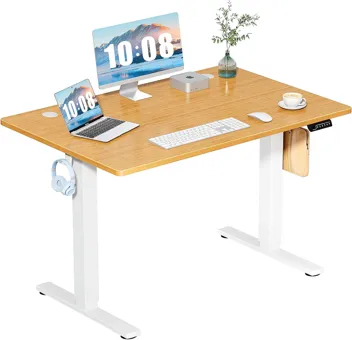 Dumos 48x24" Electric Standing Desk with Keyboard Tray