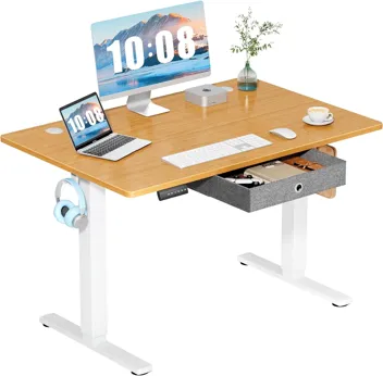 Dumos 48x24" Electric Standing Desk with Keyboard Tray