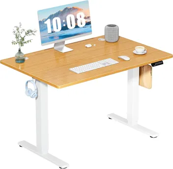 Dumos 48x24" Electric Standing Desk with Keyboard Tray