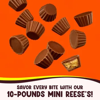 Miniatures Milk Chocolate and Peanut Butter Cups Candy (1lb)