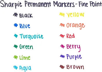 Permanent Markers (12-Count)