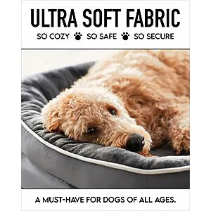 Orthopedic Dog Bed for Large Dogs or Amazon