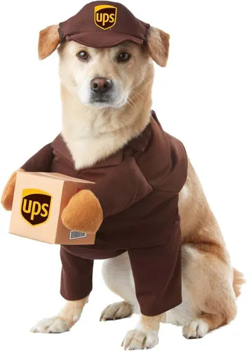 California Costumes UPS Delivery Driver Dog & Cat Costume (Large)