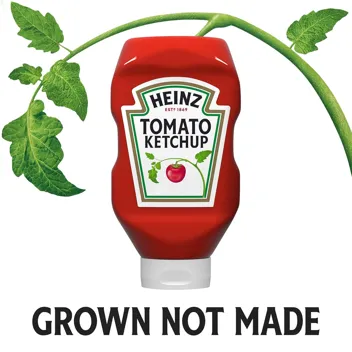 Tomato Ketchup 32oz Bottle
