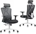 Urboro & Domo B31 Ergonomic Office Chair with Lumbar Support and Adjustable Headrest