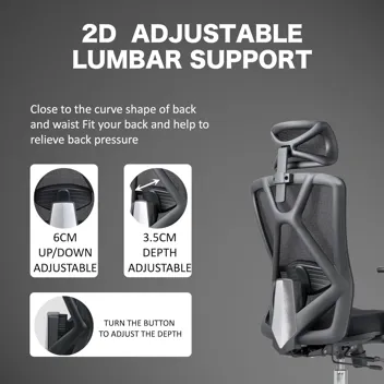 B31 Ergonomic Office Chair with Lumbar Support and Adjustable Headrest