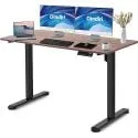 Dindiri 48"x24" Height Adjustable Electric Standing Desk