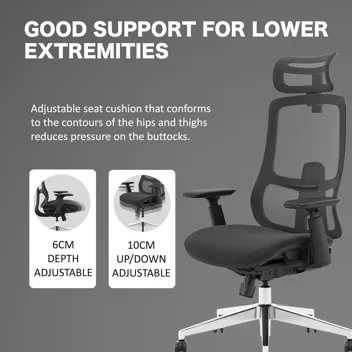 T3 Ergonomic Mesh Back Dynamic Lumbar Support Office Chair