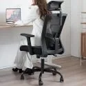 Mesh Back Lumbar Support Ergonomic Office Chair