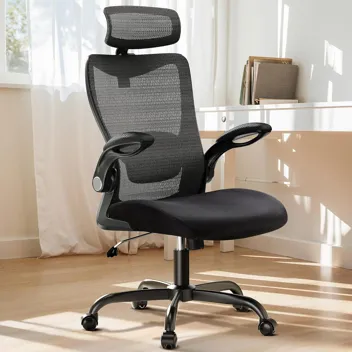 Huanuo Ergonomic Office Chair with Adjustable Lumbar Support and Headrest (Black)