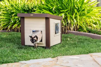 New Age Pet ecoFLEX Albany Outdoor Feral Cat House