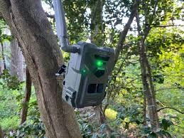 Lower budget trail cam