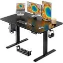 erGear 48"x30" Whole Tabletop Electric Standing Desk with Cable Management Tray