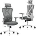 B31 Ergonomic Office Chair with Lumbar Support and Adjustable Headrest