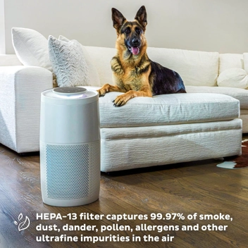 Instant Brand HEPA Quiet Air Purifier w/Plasma Ion Technology