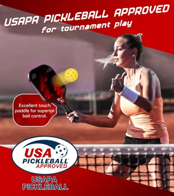 Doctext USAPA Compliant Pickleball Set w/ 2x Paddles, 4x Balls