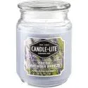 18oz Fresh Lavender Breeze Single-Wick Aromatherapy Candle