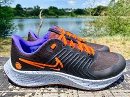 Pegasus Shield Running Shoes