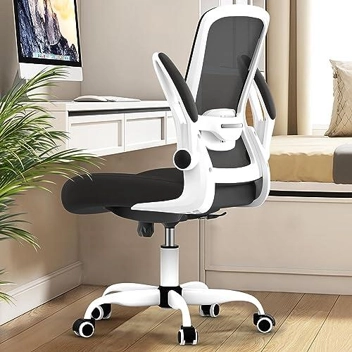 Mimoglad Ergonomic Desk Chair w/ Lumbar Support