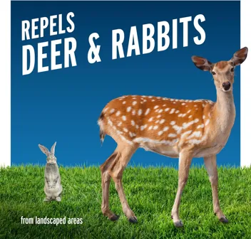 1-Gallon Fence Deer & Rabbit Repellent