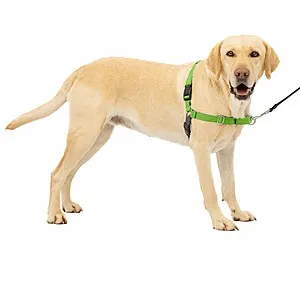 Easy Walk Dog Harness - Stop Pulling & Teach Leash Manners - Ultimate No-Pull Control for Walks - Large