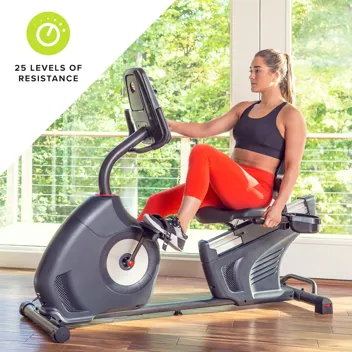 Schwinn 290 Recumbent Exercise Bike