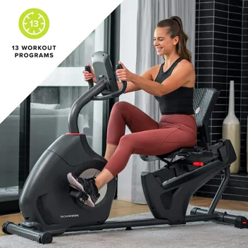 Schwinn 290 Recumbent Exercise Bike