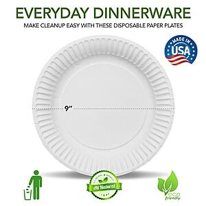 500-count 9-Inch Paper Plates Uncoated, Everyday Disposable Paper Plates Bulk, White,