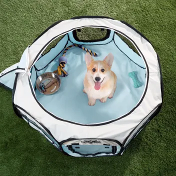 Pop-Up Pet Playpen (Medium, Blue)