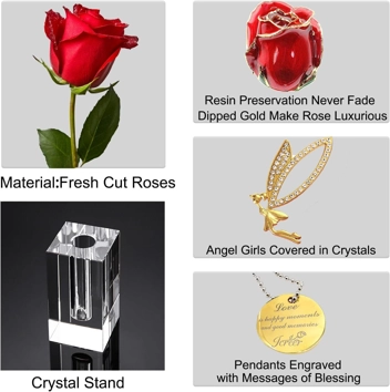 Icreer 24k Gold Rose Gift Set with Stand