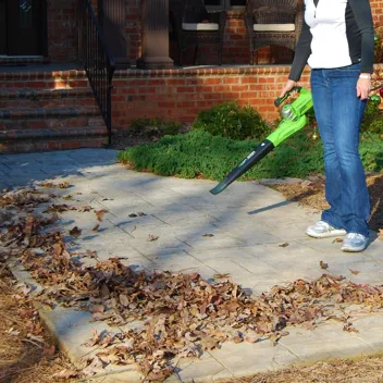 48V (2 x 24V) Greenworks Brushless Cordless Axial Blower w/ (2) 4.0Ah USB Batteries & Dual Port Rapid Charger