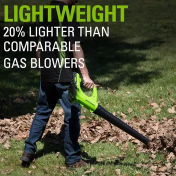 48V (2 x 24V) Greenworks Brushless Cordless Axial Blower w/ (2) 4.0Ah USB Batteries & Dual Port Rapid Charger