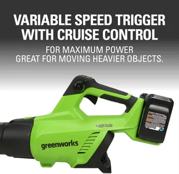 48V (2 x 24V) Greenworks Brushless Cordless Axial Blower w/ (2) 4.0Ah USB Batteries & Dual Port Rapid Charger